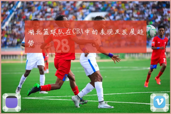 湖北篮球队在CBA中的表现及发展趋势