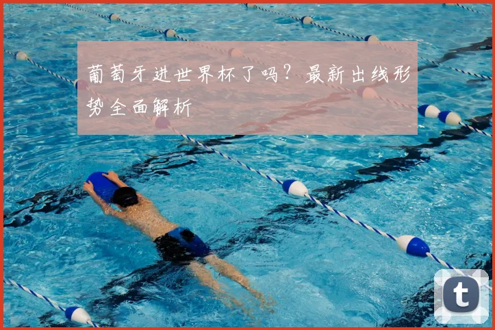 葡萄牙进世界杯了吗？最新出线形势全面解析