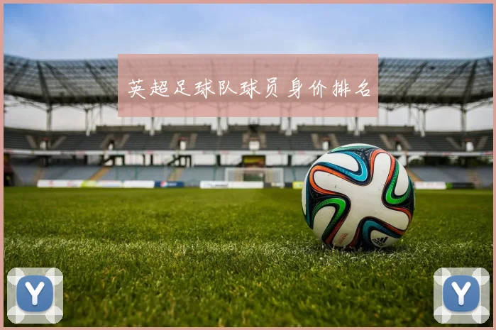 英超足球队球员身价排名